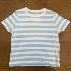 Blue and White Striped Shirt